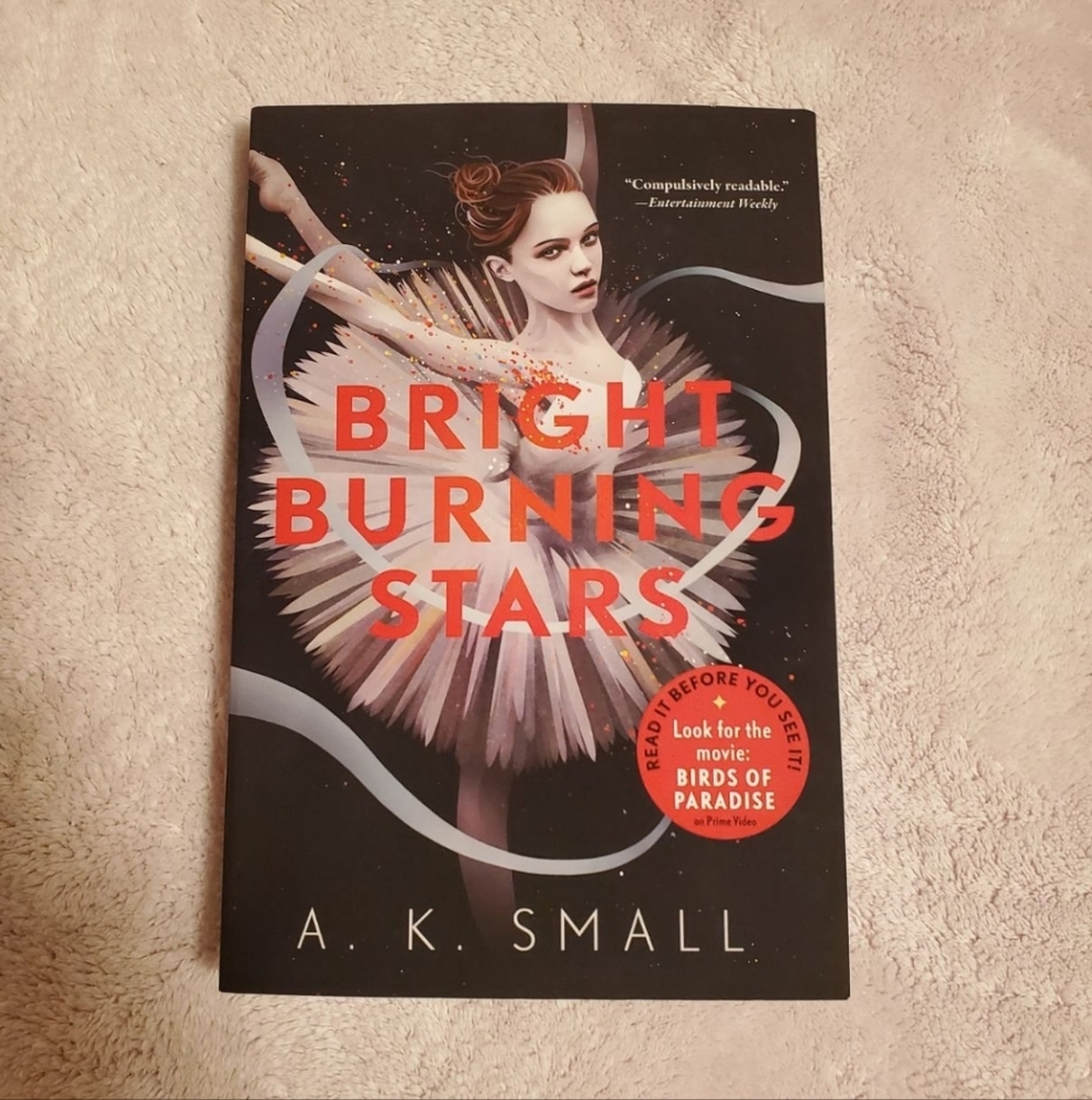 Bright Burning Stars Book